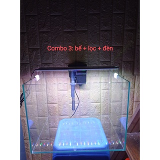 Combo bể cá+lọc+đèn. Chỉ cần về chơi