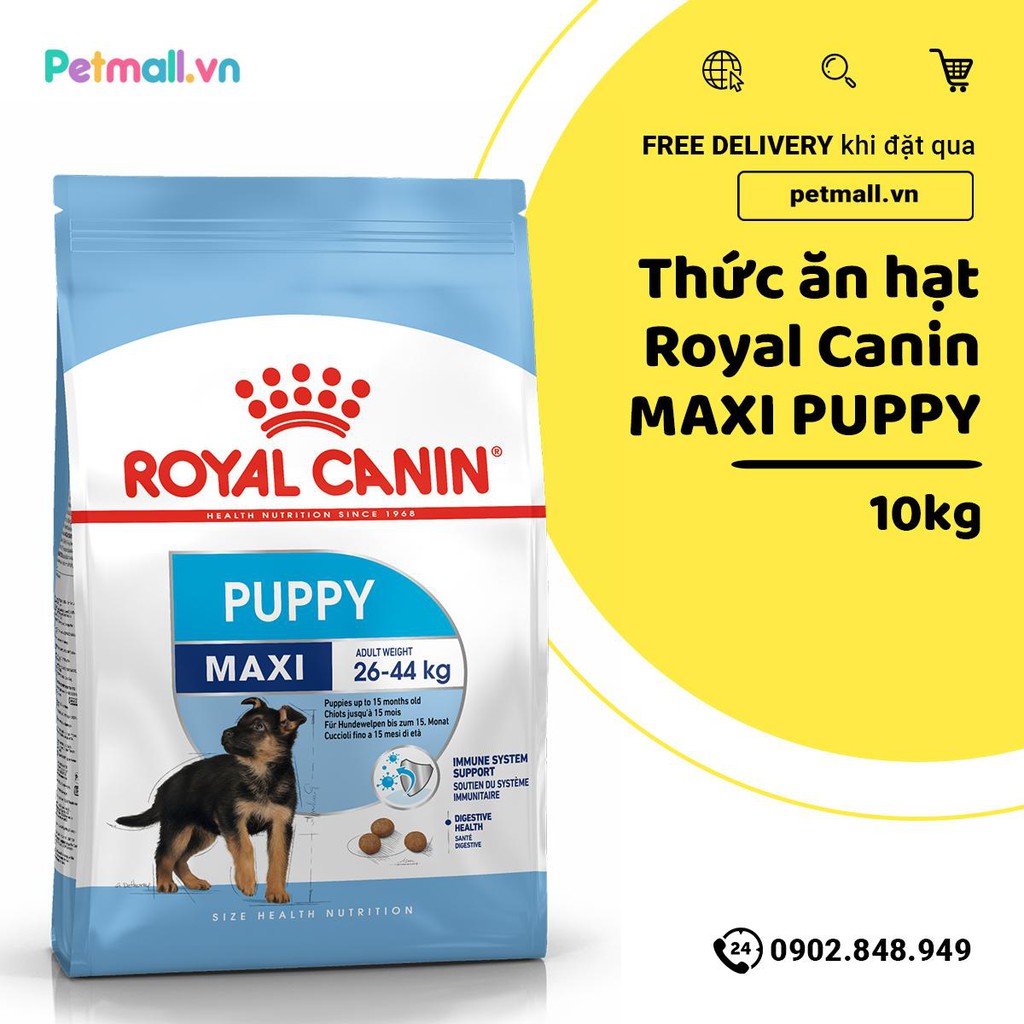 Thức ăn chó Royal Canin MAXI PUPPY 10kg