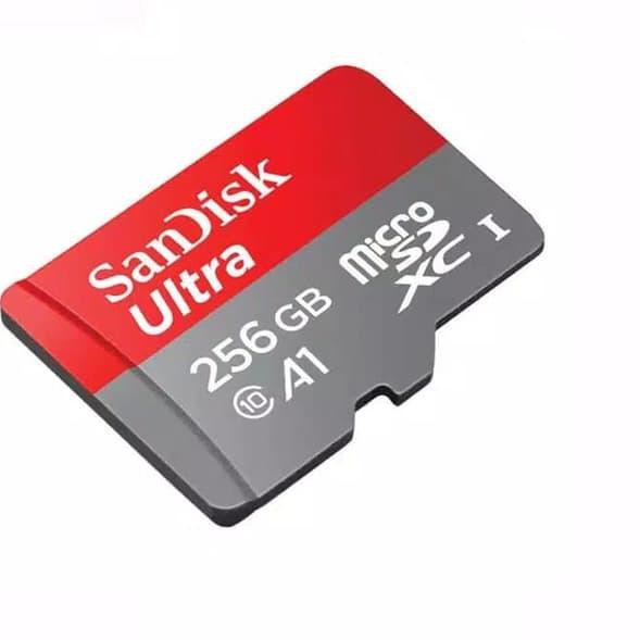 Mô Hình Nhân Vật Nữ Anime Quyến Rũ Sống Động Mô Hình Nhân Vật Hoạt Hình Qdp....Thẻ Nhớ Sandisk 256 GB | BigBuy360 - bigbuy360.vn