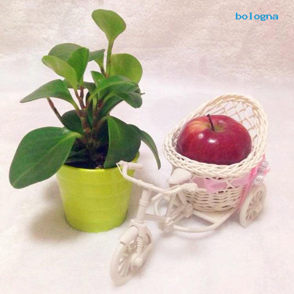 Chậu Hoa Hình Xe Đạp Ba Bánh Dùng Trang Trí Tiệc Cưới