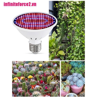 (Hàng Mới Về) Đèn Led 300 Bóng Mr16 Phát Sáng Thông Dụng