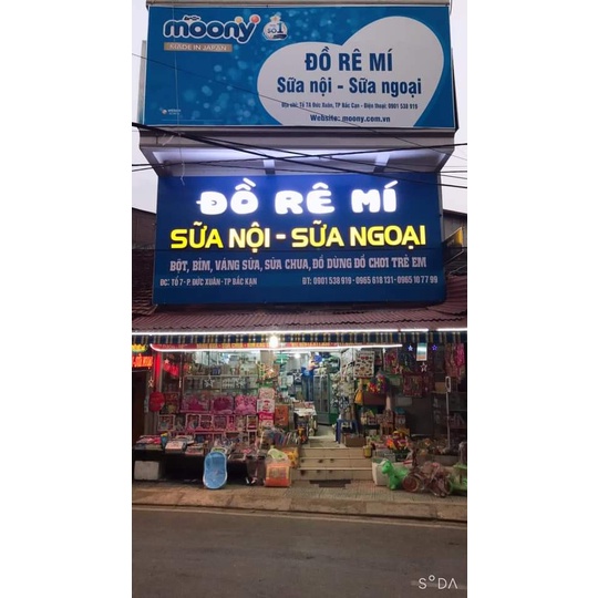 Đồ chơi trẻ em thú nhảy dây cót, lợn dây cót | BigBuy360 - bigbuy360.vn
