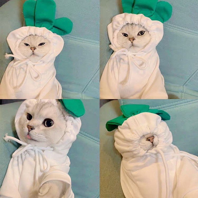 ÁO NOEL GIÁNG SINH COSPLAY CỦ CÀ RỐT DỄ THƯƠNG CHO THÚ CƯNG CHÓ MÈO