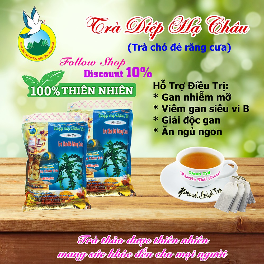 Trà Diệp Hạ Châu (Bịch 100 Túi Lọc x 2g) - Hỗ Trợ Viêm Gan B , Mỡ Máu- Nguyên Thái Trang - Thảo Dược Thiên Nhiên