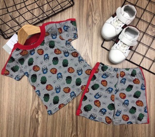 Bộ bozip hàng xuất/ set 4b