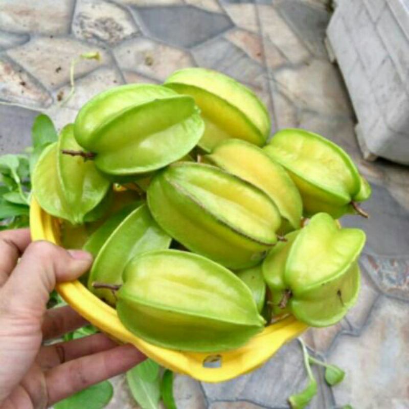 Cây khế chua, cây khế ngọt