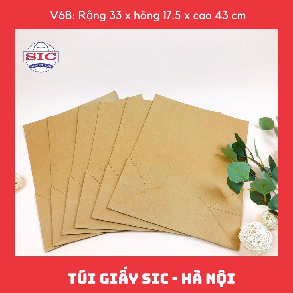 [SET 100 CHIẾC] Túi V6B: 33x17.5x43 cm KHÔNG QUAI  (ẢNH THẬT SẢN PHẢM VÀ VIDEO)