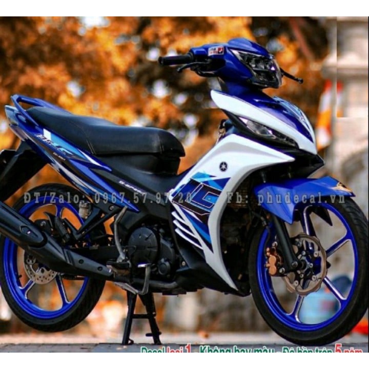 Tem rời ex 135 LC xanh đen trắng