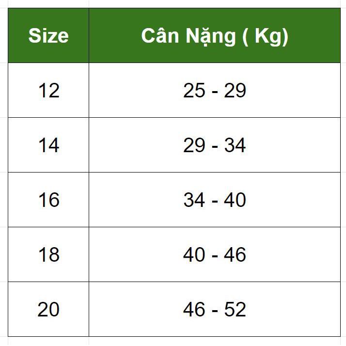 [ Set 2 ] bộ đồ thể thao SPORT cho trẻ em từ 29-45kg - 2 màu khác nhau