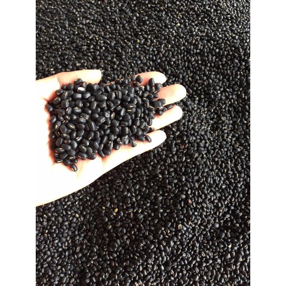 Đậu đen xanh lòng