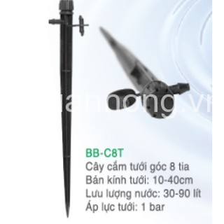 10 cây cắm tưới gốc 8 tia