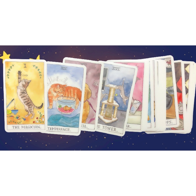 Bộ Bài Cat Tarot cards, tarot hình mèo 78 lá cơ bản, hộp sắt
