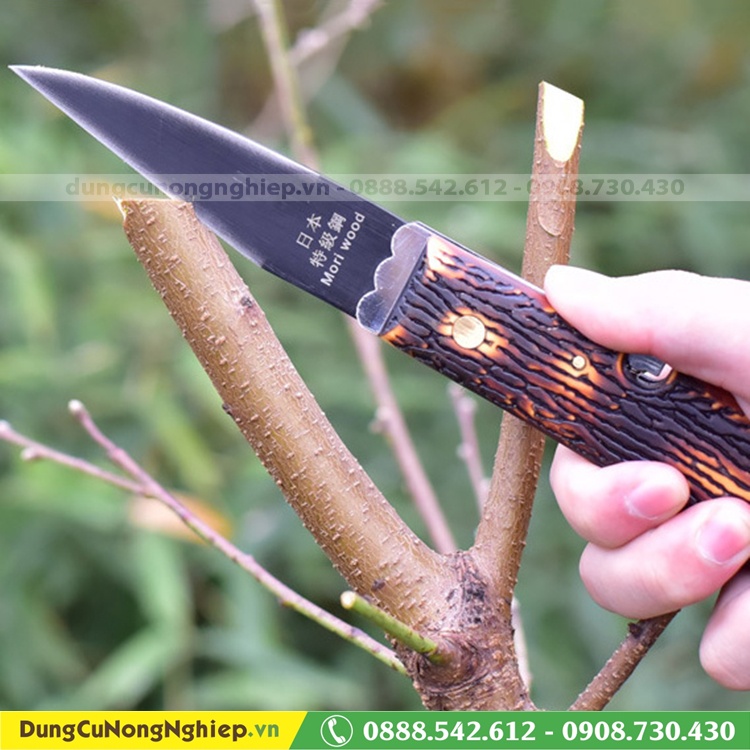 Dao ghép cành Mori Wood cán sừng