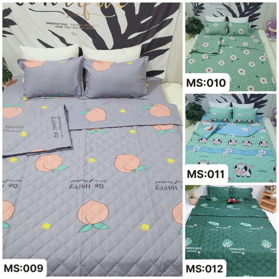 (khai trương shop) set 5 món chăn ga gối cotton poly cao cấp