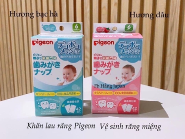 Khăn lau răng Pigeon Nhật Bản 42 tờ