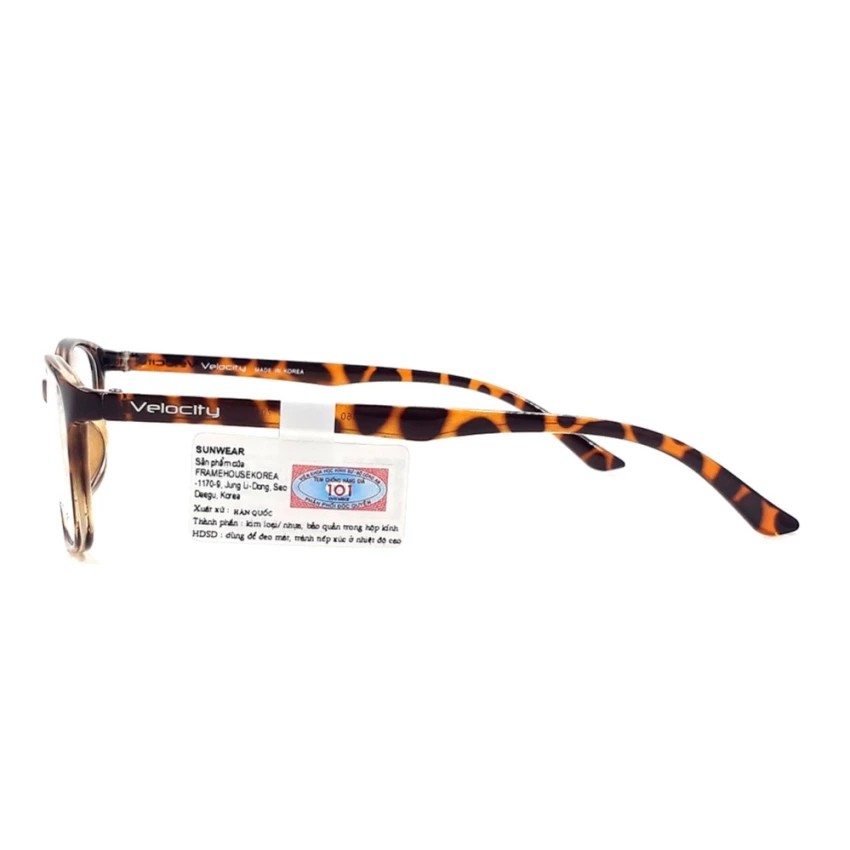 VL97464 701 - gọng kính velocity chính hãng, bảo hành toàn quốc