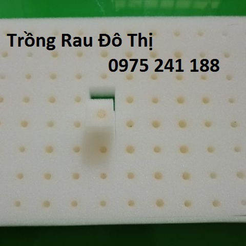 96 viên mút xốp ươm hạt kích thước 25 x 25 x 25mm trồng rau thủy canh, hàng nhật chất lượng cao