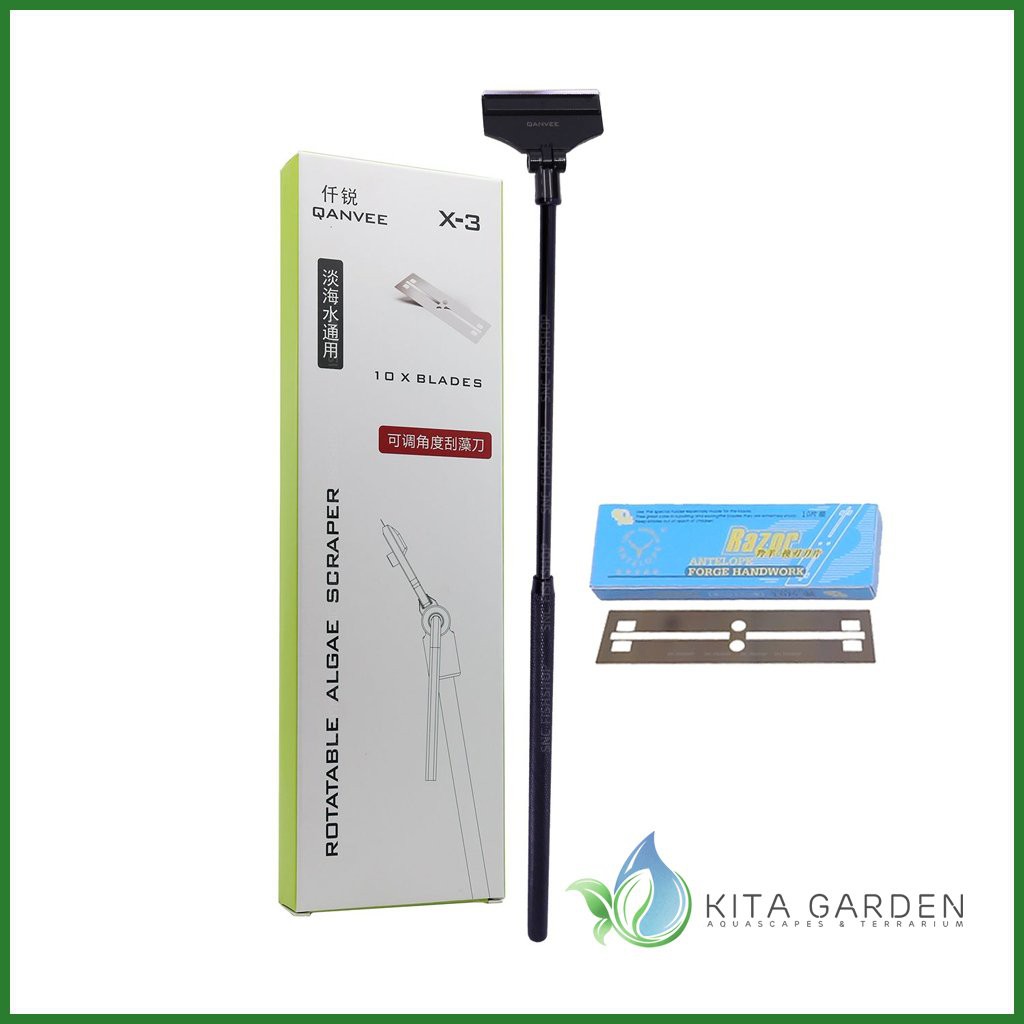 DAO CẠO RÊU INOX ĐEN QANVEE X-3