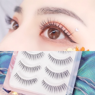 Mi giả lông chồn 3D cao cấp 1 hộp 5 cặp