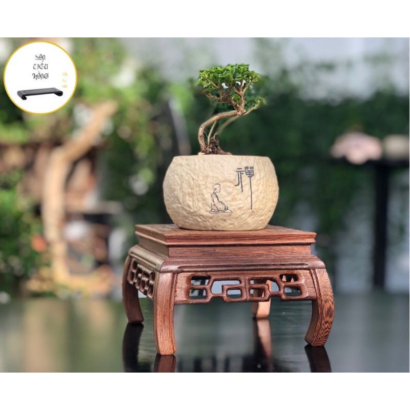 Đôn gỗ, Kệ gỗ mini kê bonsai, ấm trà, tượng trang trí - Ảnh thật