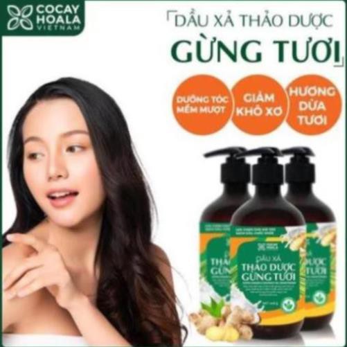 Bộ dầu gội sạch gàu thảo dược gừng dừa Cocayhoala đánh bay gàu giảm ngứa dung tích 440g/chai