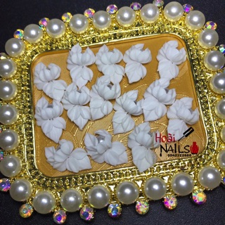 Hoa bột cúc dài (1b) - Phụ kiện Nail