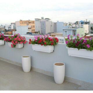10 khay trồng hoa trồng rau mới về 48cm x20cm  x16cm