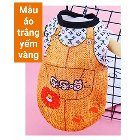 *Hoả tốc* Áo thun ba lỗ cao cấp cho chó mèo - Áo cho thú cưng nhiều size từ 1-15kg - Hàng chuẩn y hình