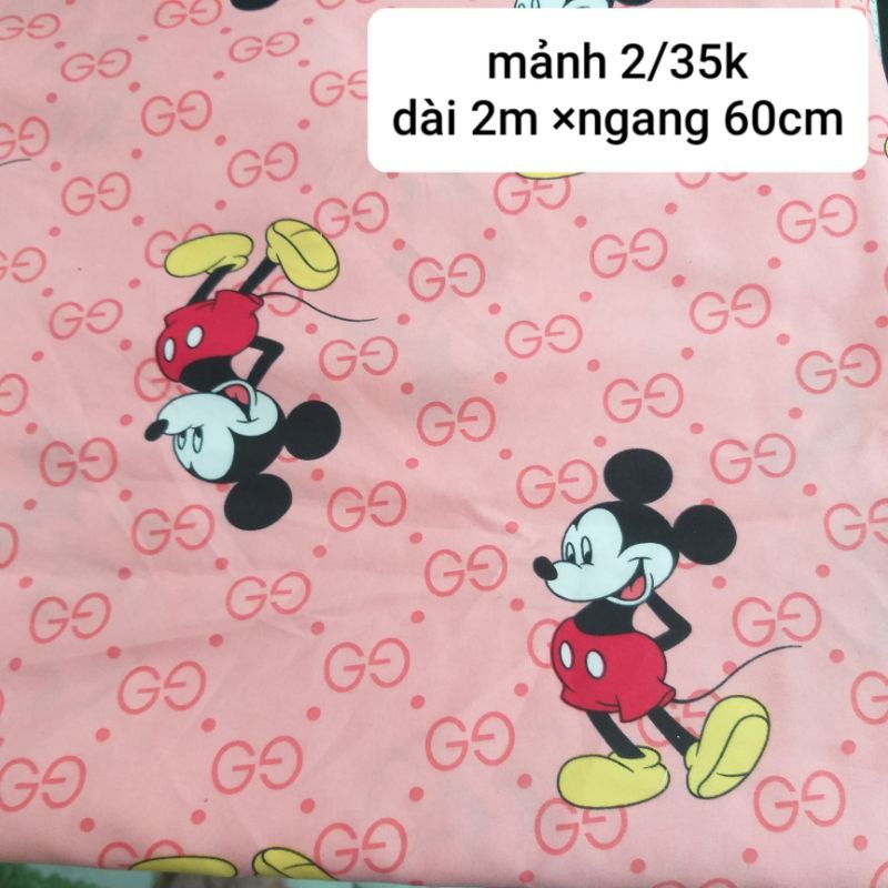 set vải kate thái , mảnh nhỏ .