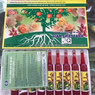 Dung dịch giâm chiết cành minh đức hộp 10 lọ, 10ml/lọ