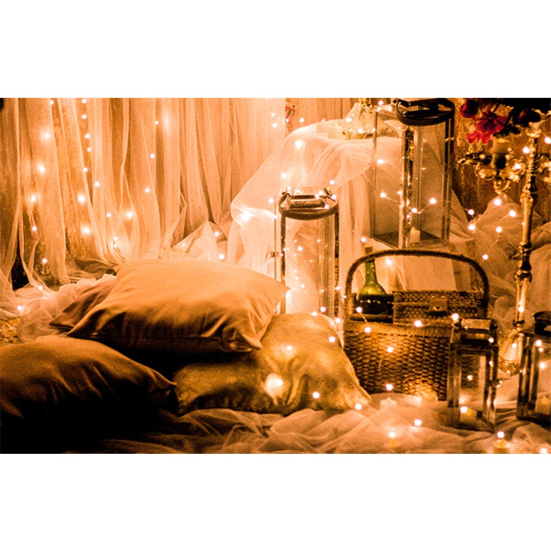 Dây Đèn LED Trang Trí Tiệc 1M 2M 3M 4M 5M 10M