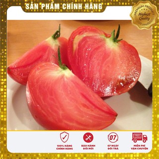 Hạt giống Cà chua Trái Tim( 30 hạt)