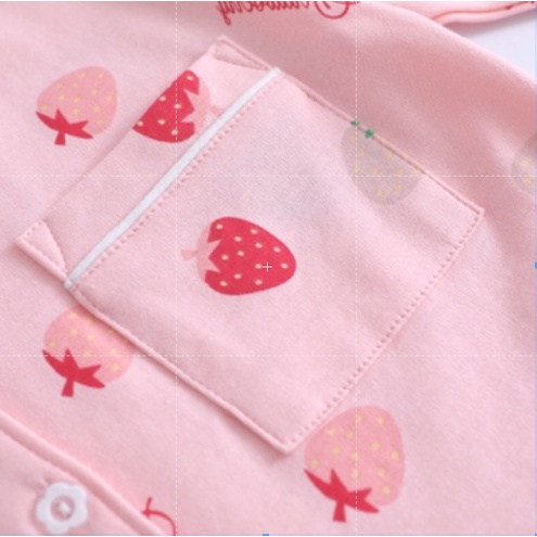 Bộ Quần Áo Ngủ Pyjama Cotton Thu Đông Xuất Hàn ( V011 ) Hàng Loại Đẹp.