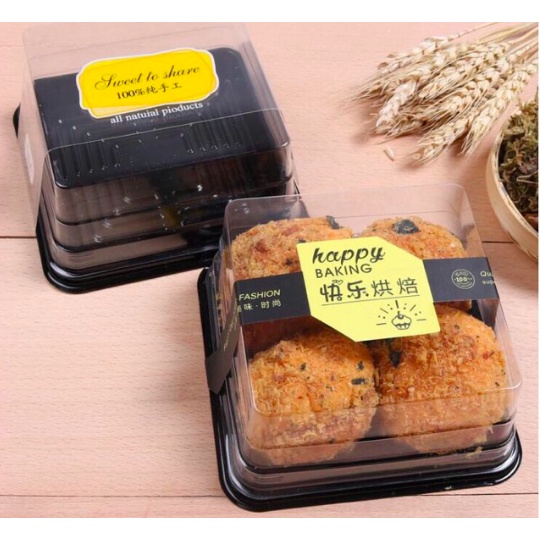 10 HỘP NHỰA VUÔNG ĐẾ ĐEN 250GR XY12-12