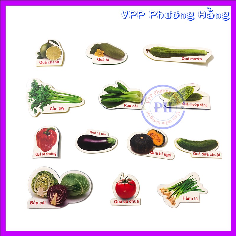 Bộ rau quả - Dạy bé nhận biết các loại rau quả