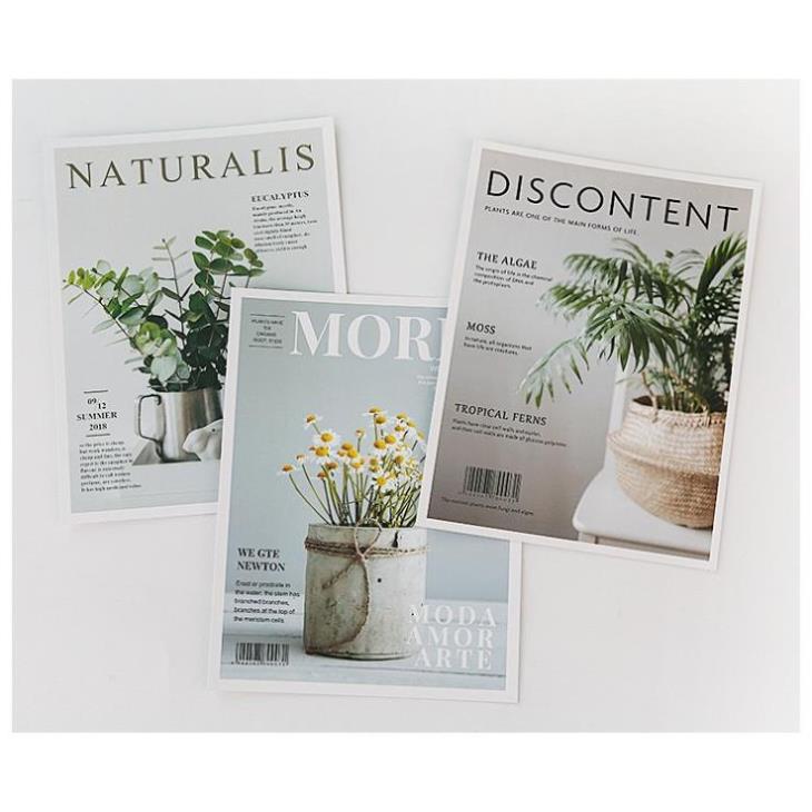 Bìa tạp chí chụp ảnh, Báo Chụp Hình Lookbook Thời Trang Đẹp, Đồ Decor