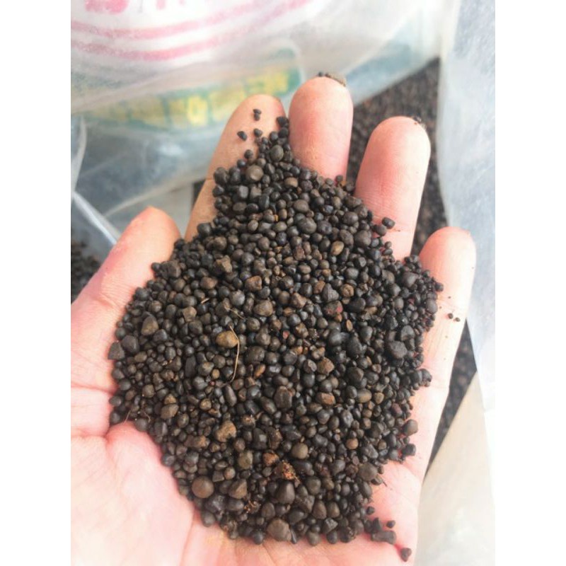 Sạn suối nâu, sỏi suối nâu trải nền thuỷ sinh, hồ cá