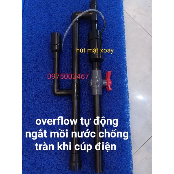 Sứ lọc viên 100g