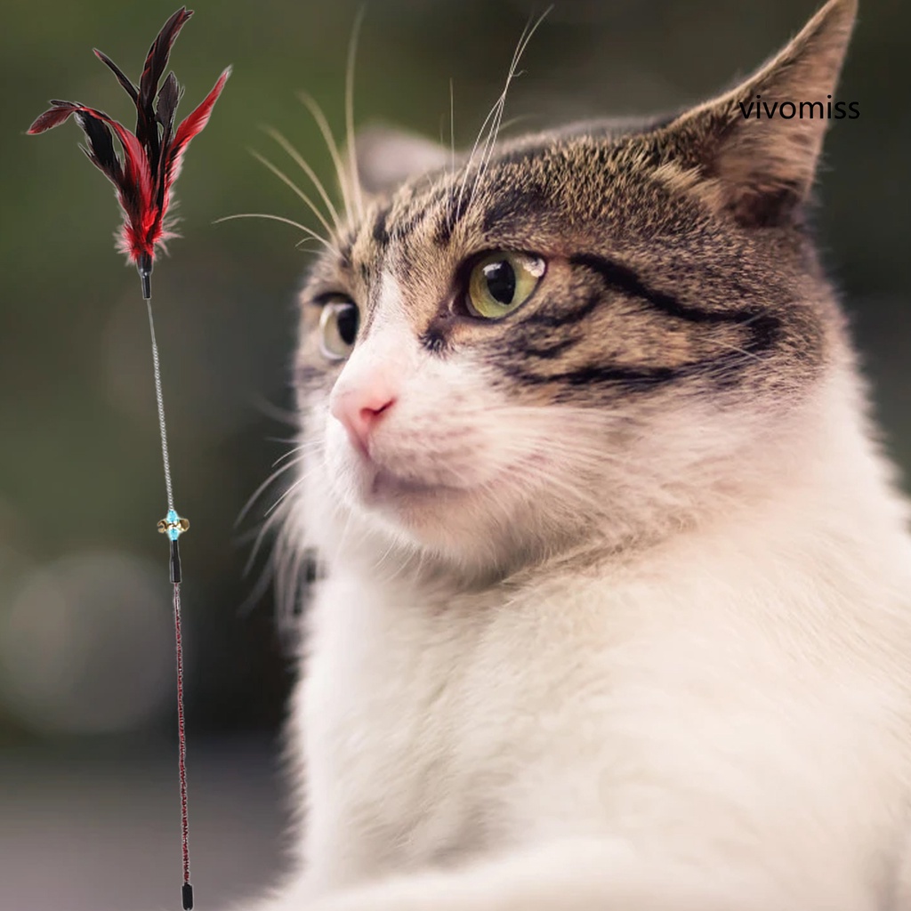 Gậy đồ chơi gắn lông vũ vui nhộn dành cho mèo