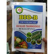 BIO B CHẾ PHẨM PHÒNG TRỪ RẦY NÂU, RỆP SÁP, BỌ TRĨ TRÊN CÂY TRỒNG GÓI 30GR