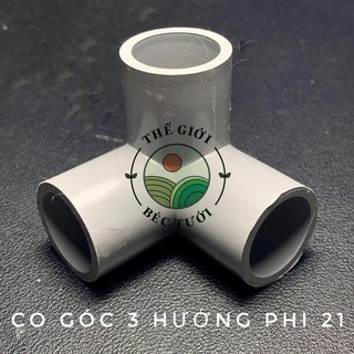 CO GÓC 3 HƯỚNG PHI 21 (BỘ 10 CÁI)