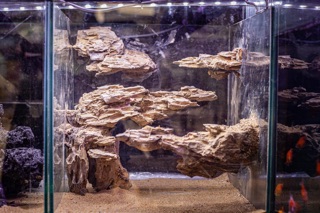 [300 GRAM] Đá Tiger Size Mini SetUp Hồ Cá, Thuỷ Sinh