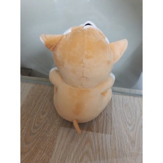 Gấu brown đội mũ cáo (ảnh thật)