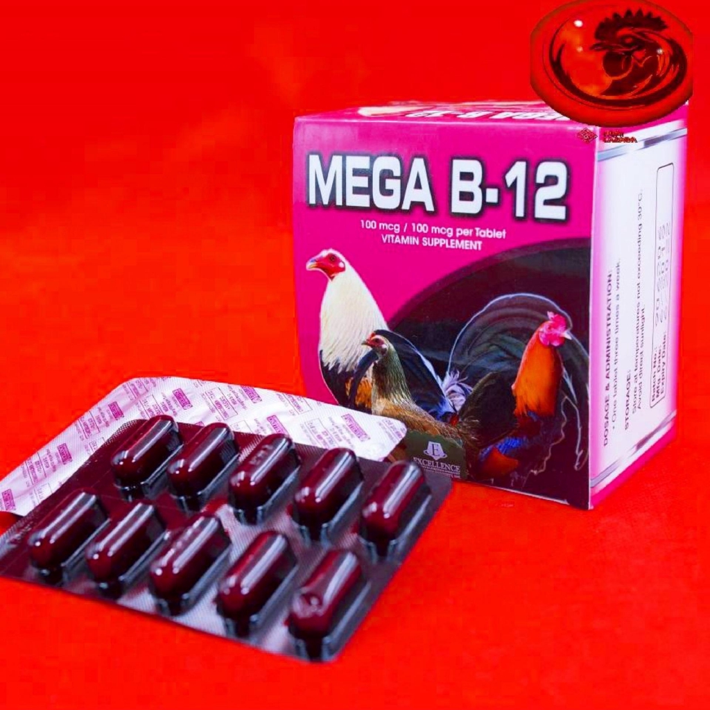 B12 - MEGA dinh dưỡng dành cho gà đá 1 hộp 10 vỉ - Thuốc Gà Đá