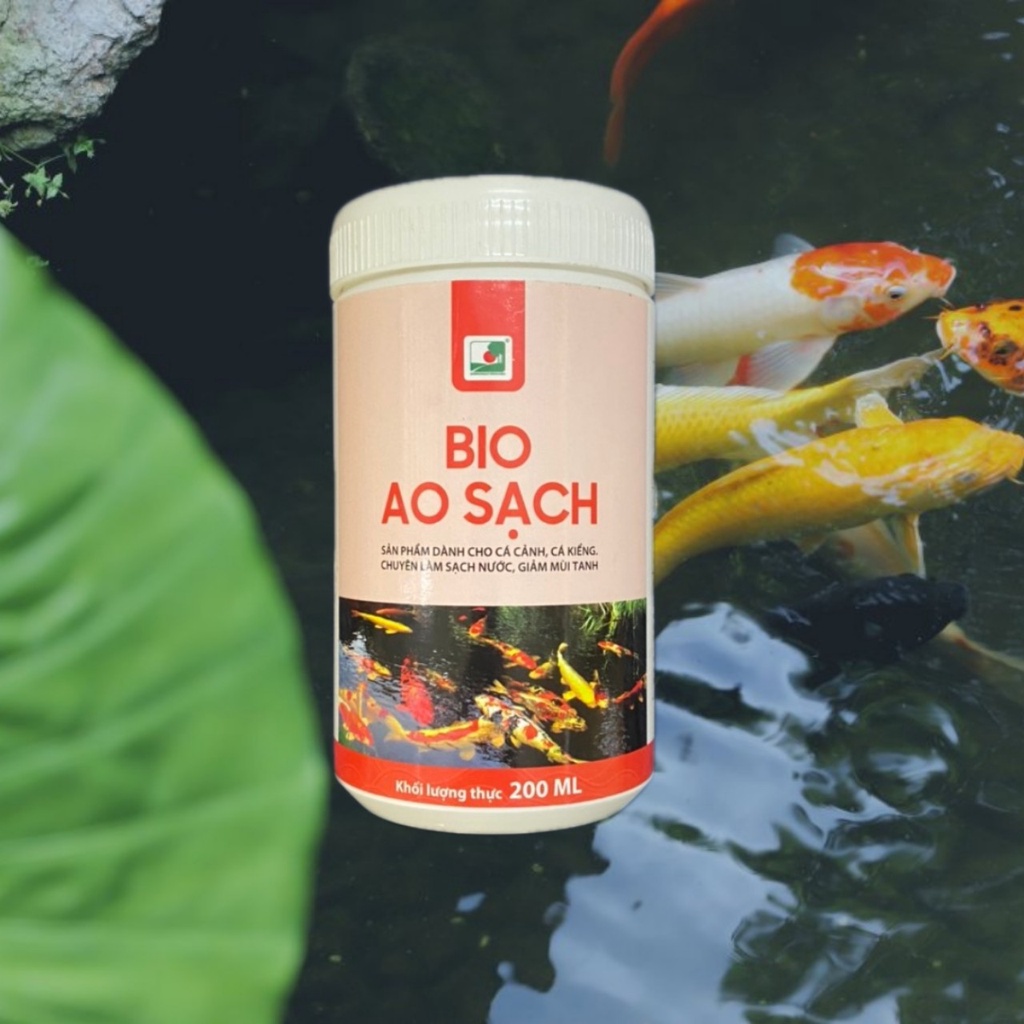 LÀM SẠCH NƯỚC, GIẢM MÙI TANH CHO AO CÁ CẢNH - BIO AO SẠCH DÀNH CHO CÁ CẢNH - MEN BỘT