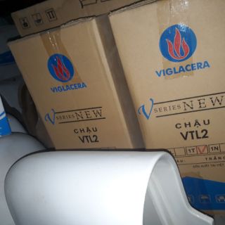 Chậu rửa lavabo Viglacera VTL2