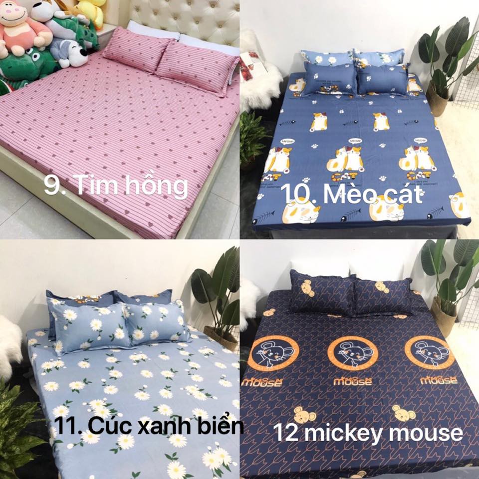 Bộ Ga Gối Cotton Poly - Được Chọn Mẫu