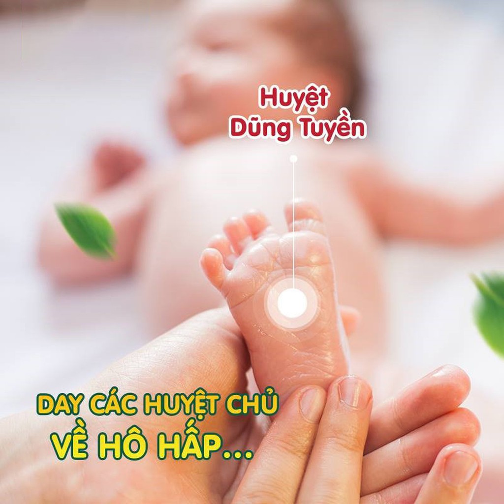 Tinh Dầu Tràm Nguyên Chất (Các Loại 10ml, 30ml, 50ml, 100ml)