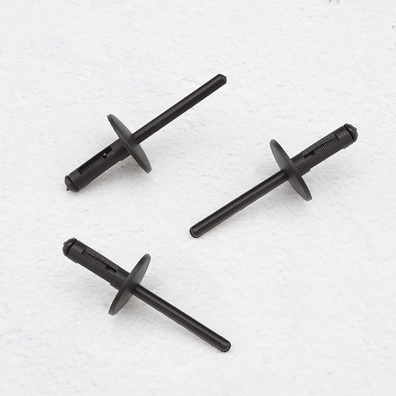 Set 20 đinh tán nhựa lỗ 6mm cho xe hơi BMW  X1 E84 X3 F25 X5 E70 X6 E71 - Chốt vít cho ô tô