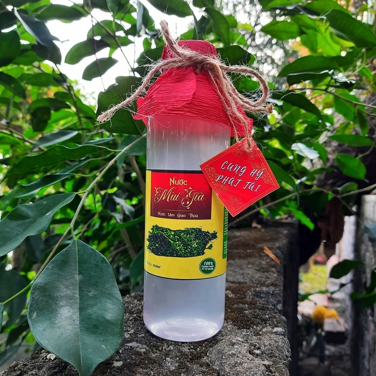 [500ml] Tinh chất Mùi Già -  NướcTắm Giao Thừa - Nước cất Mùi già tắm rửa, xông phòng, xông hơi, thanh lọc không khí